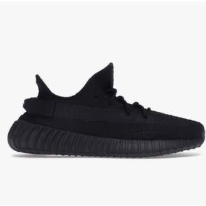 Yeezy boost 350 v2